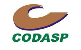 CODASP